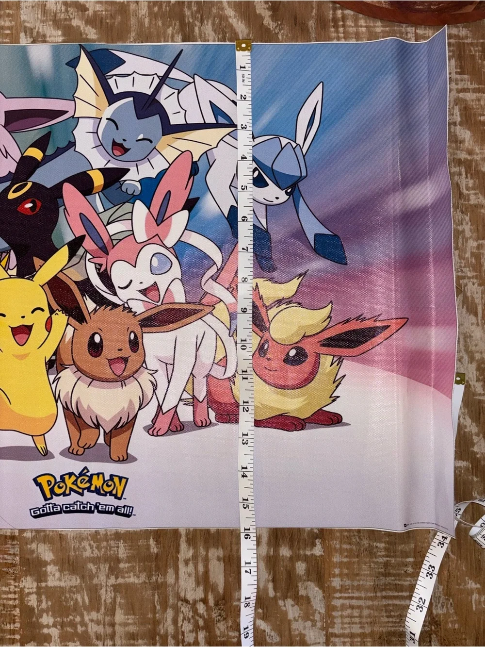 Pokémon Eevee Evolutions Pikachu Fabric Wall Poster Banner 24x16